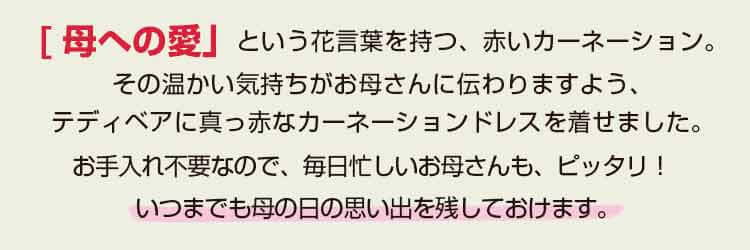 母の日 ギフト プレゼント