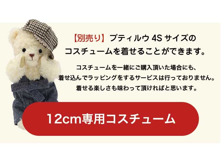 マタニティ 記念 コスチューム ボタン