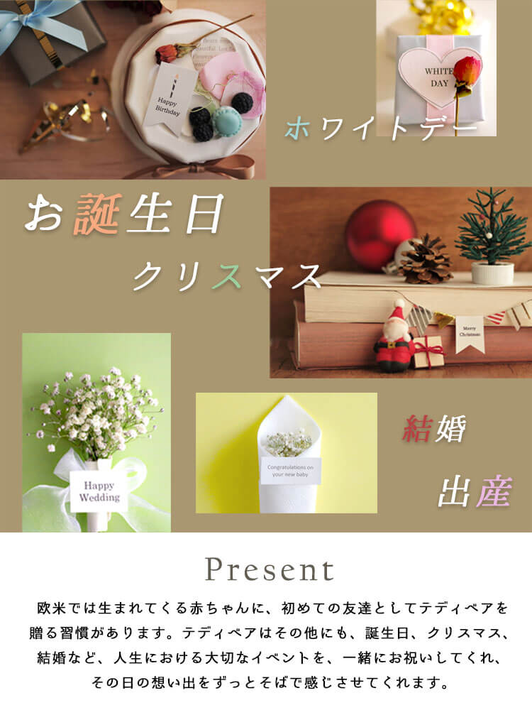 テディべアクリーム Dmサイズ 身長52cm プティルウネットショップ本店 テディべアクリーム Dmサイズ 身長52cm プティルウネットショップ本店