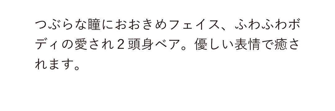 メッセージ　手紙　ぬいぐるみ