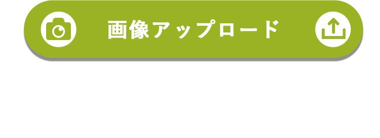 フォトぐまbig 画像送信フォームリンク