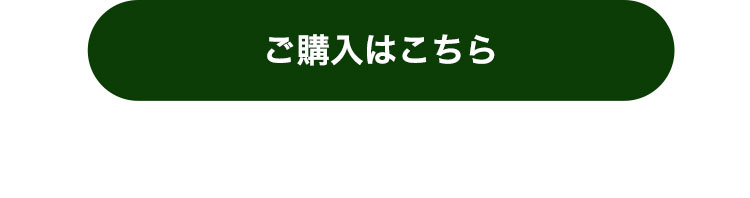  4sコスチュームリンク