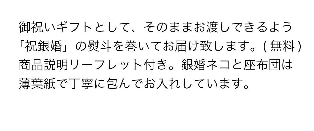 銀婚式 熨斗 ラッピング