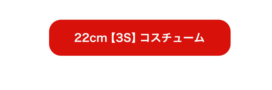 22cm【3S】専用コスチューム
