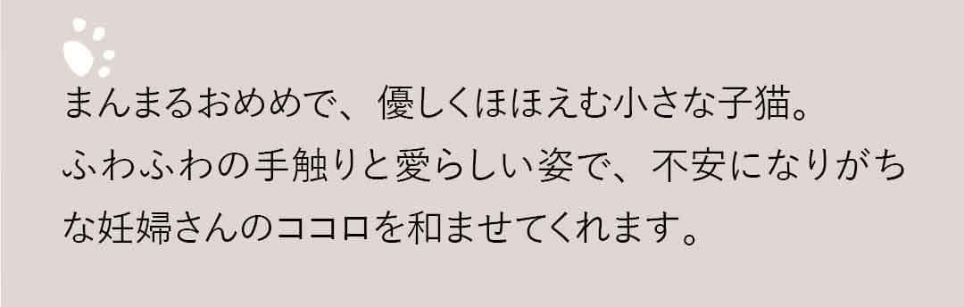 安産祈願　ネコ　お守り