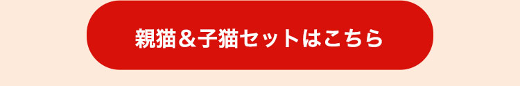 キャリーオンキャット キャリーオンバッグ