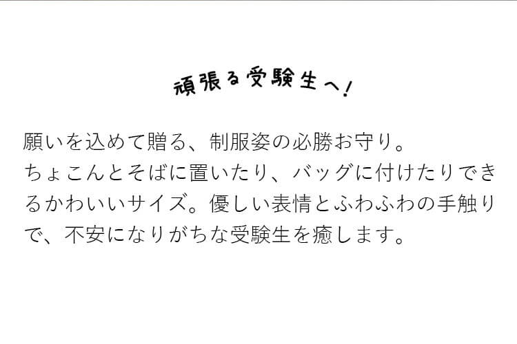 合格祈願 合格祈願ベア