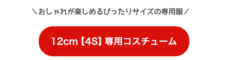 4Sコスチューム　リンク