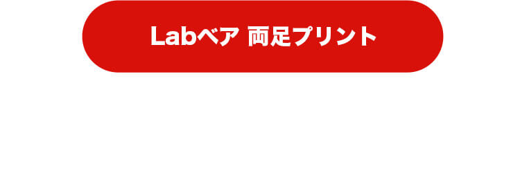 Labベア　4S　身長12cm　両足プリントはこちら