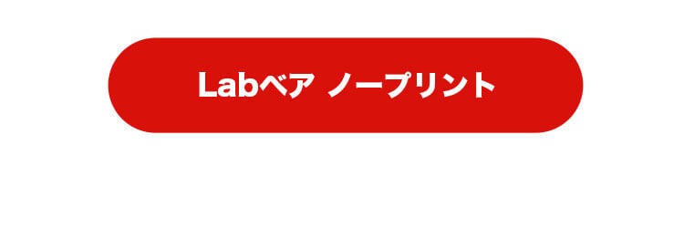 Labベア　4S　身長12cm　ノープリントはこちら