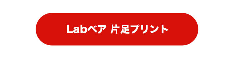 Labベア　4S　身長12cm　片足プリントはこちら