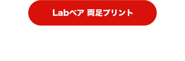 Labベア　4S　身長12cm　両足プリントはこちら