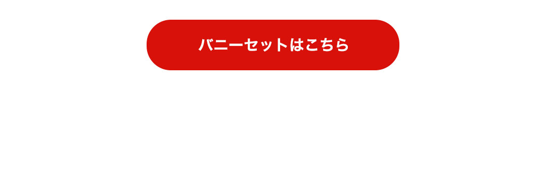 出産祝い　出産記念品　ぬいぐるみ　名入れ バニーはこちら