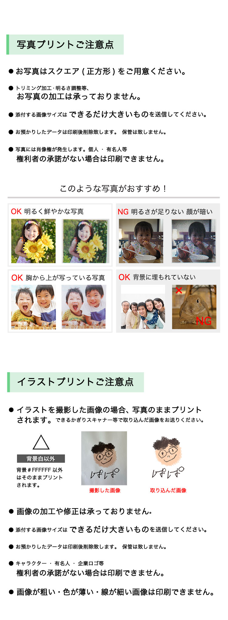 写真プリント テディベア 画像注意