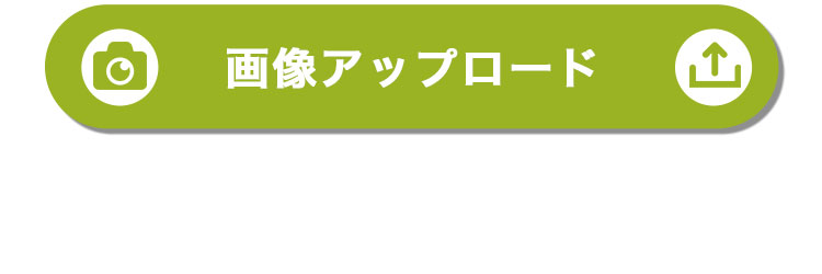 フォトぐまKUU&FUU3S 写真プリント テディベア 画像送信フォームリンク