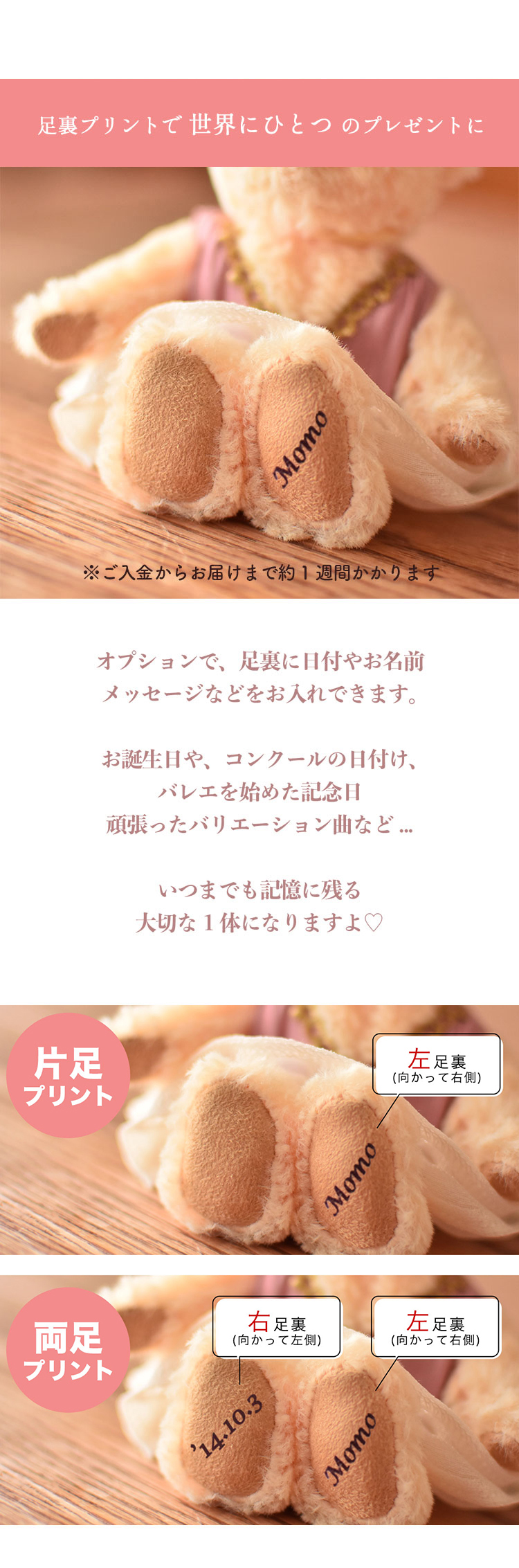 バレエギフト プチエトワール