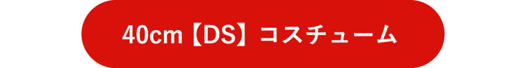 DSサイズコスチュームはこちら