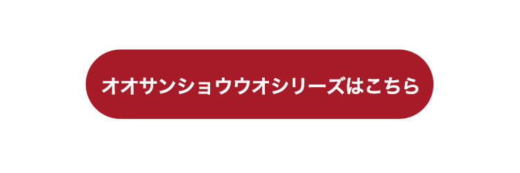 オオサンショウウオシリーズはこちら