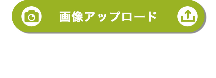 フォトぐまポージング 画像送信フォームリンク