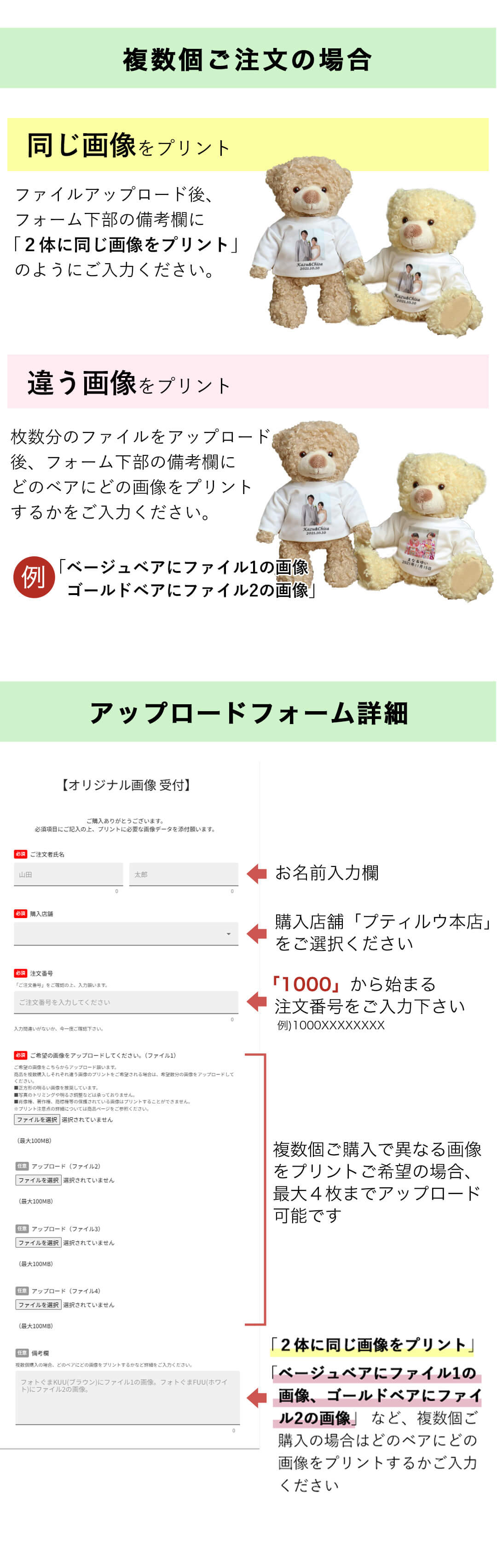 フォトぐまポージング