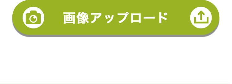 プレイベアフラワーセット　お悔み お供え