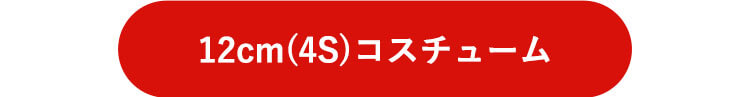 12cm4Sコスチュームはこちら