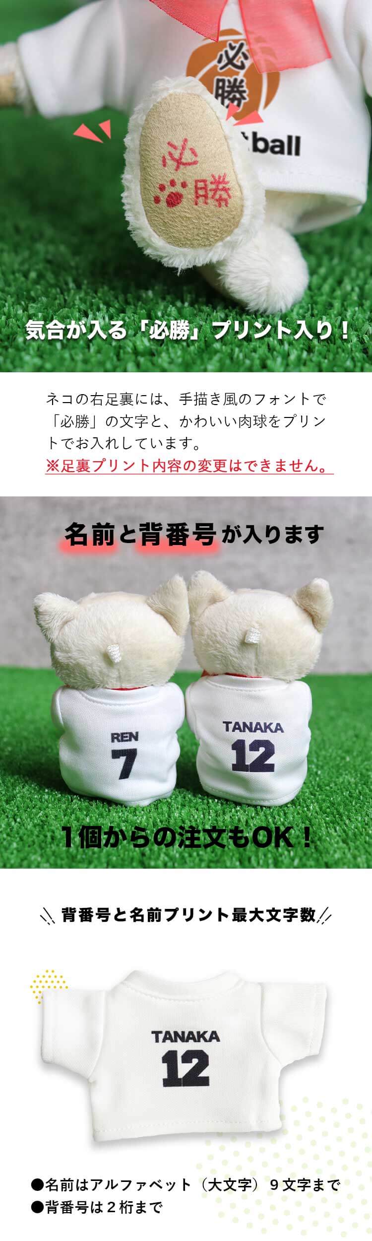 クラブTシャツ必勝祈願ネコ