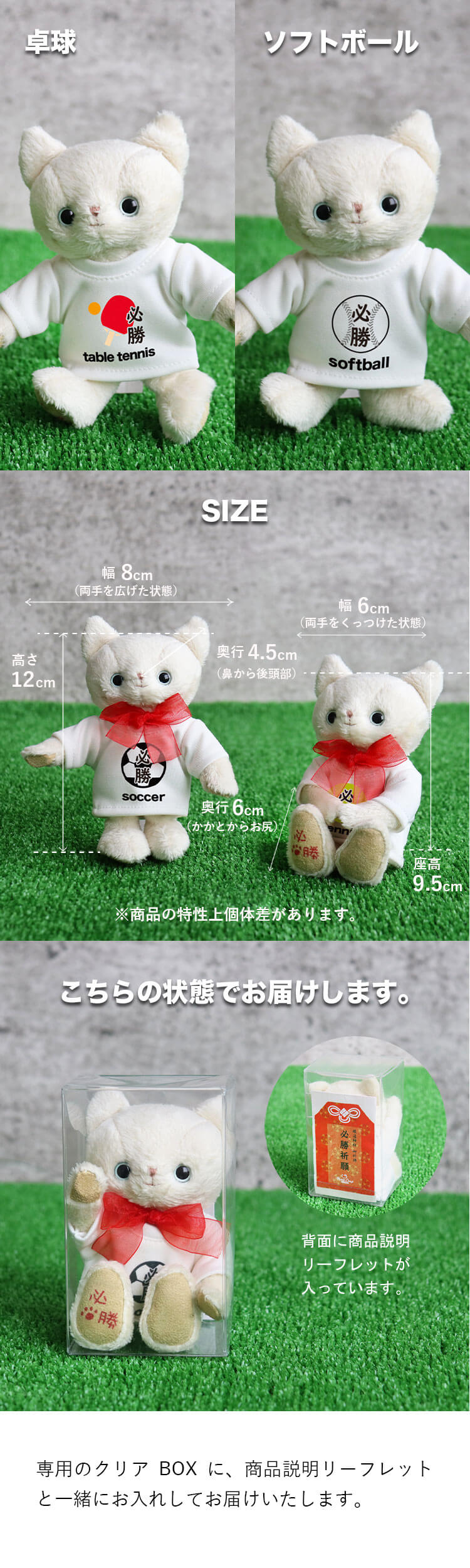 クラブTシャツ必勝祈願ネコ