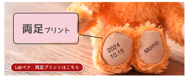 Labベア両足プリント　リンク