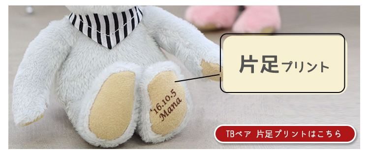 TBベア片足プリント　リンク
