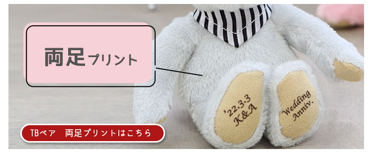 TBベア両足プリント　リンク