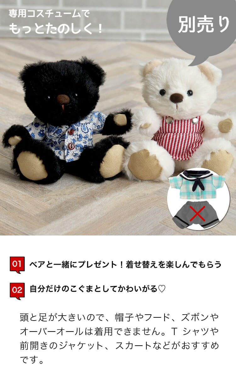 4Sサイズコスチューム