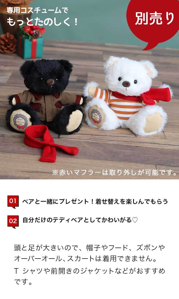 別売りコスチューム