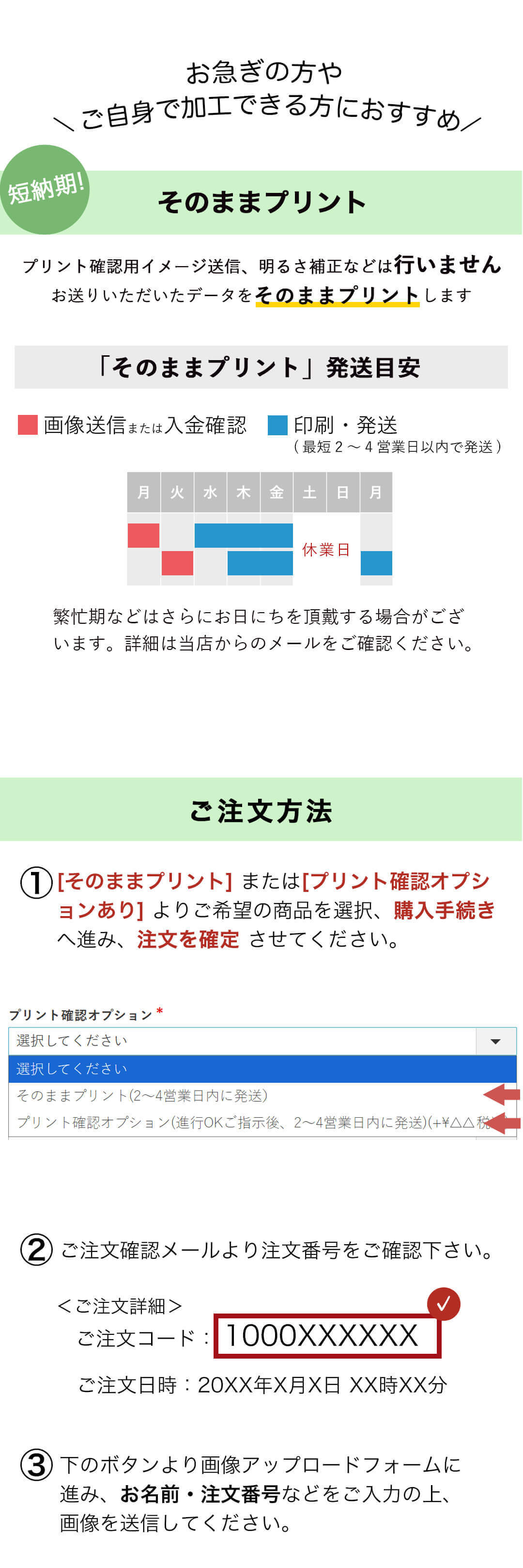 ファミリー長寿ベア　長寿のお祝い