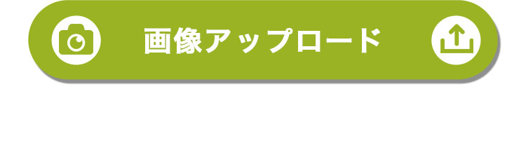 ファミリー長寿ベア　長寿のお祝い