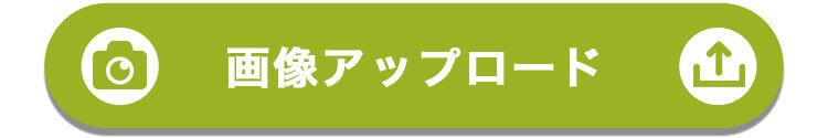 画像アップロードはこちら
