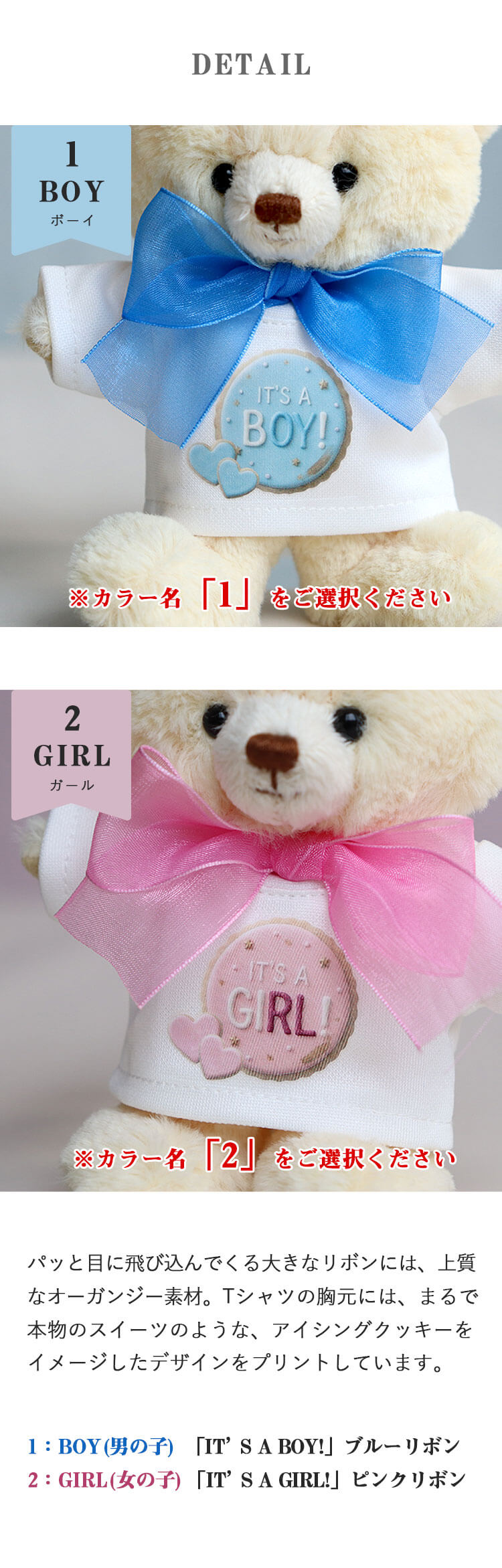 ジェンダーリビールベア　カラー ディテール
