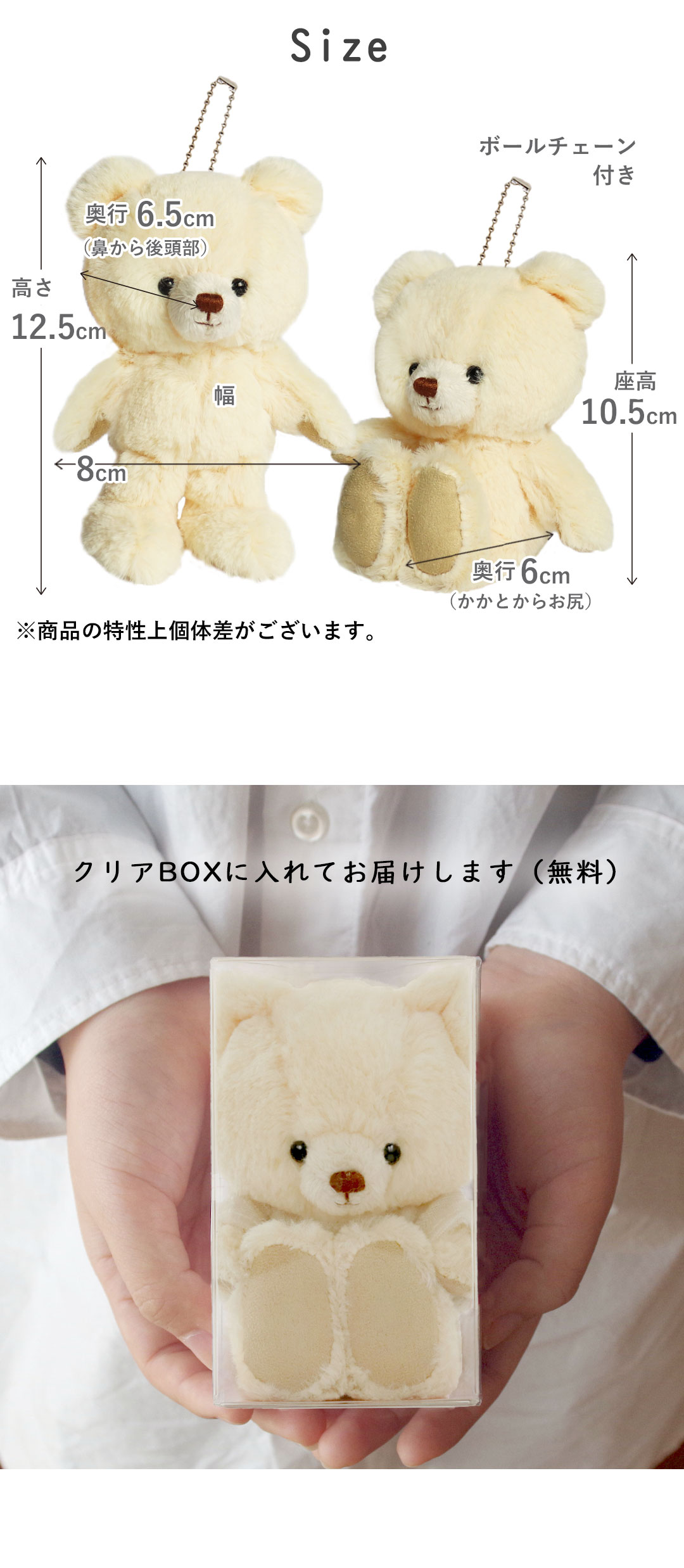 メッセージ　手紙　ぬいぐるみ