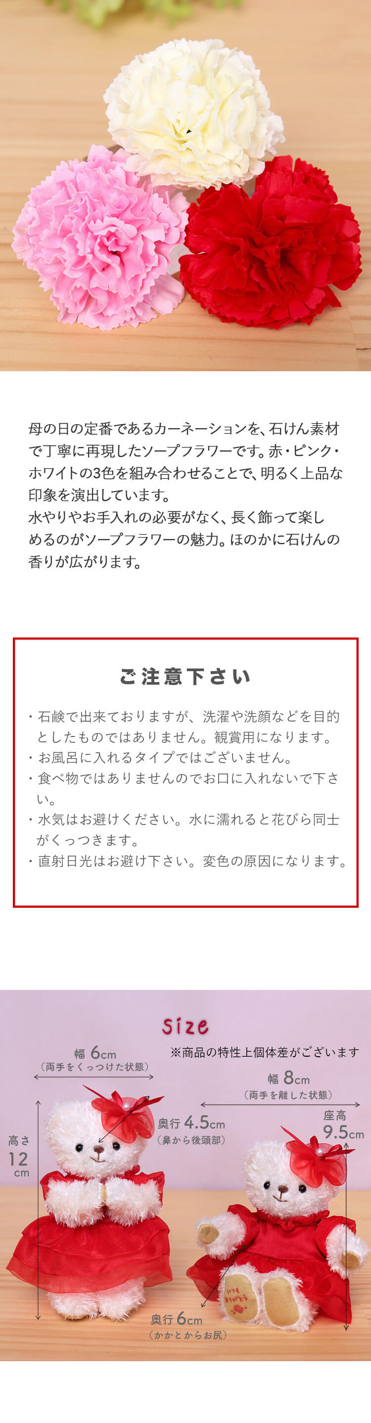 母の日ギフト　カーネーションフラワーBOX