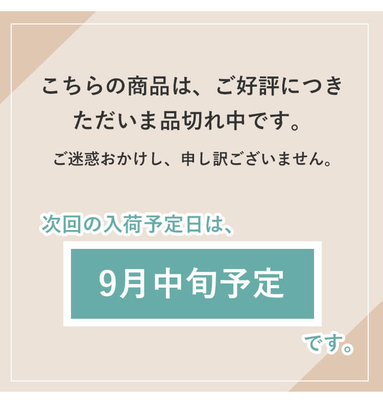 トラベルベアバッグ入荷