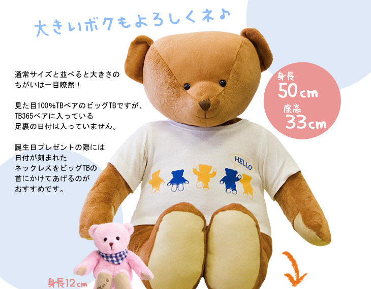 50センチ程のテディベアです