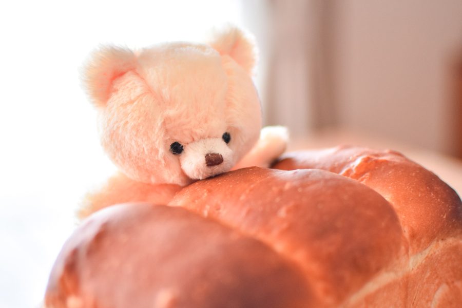 【載せてよプティルウ】1年に1度「最高にかわいいお写真」選出します！【どんどん投稿してね！】