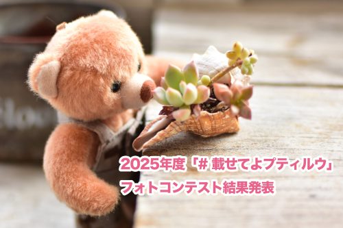 載せてよプティルウ2025