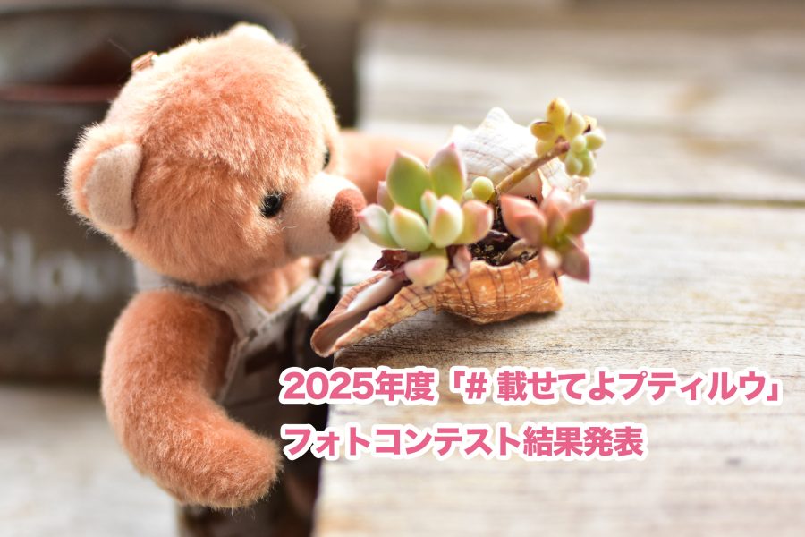 【#載せてよプティルウ】フォトコンテスト2025年度 結果発表！！【ぬい撮り 】