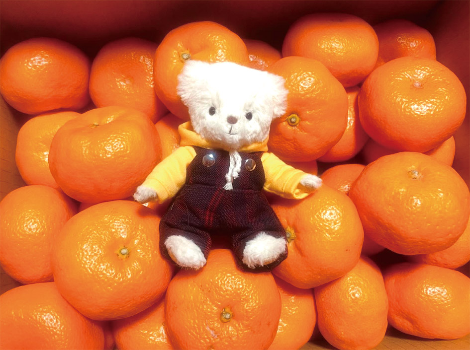 載せてよプティルウ2025