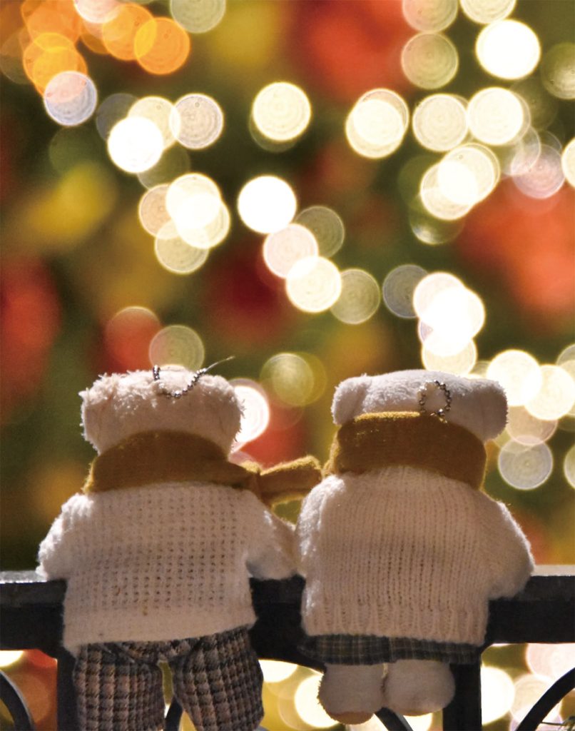 載せてよプティルウ2025