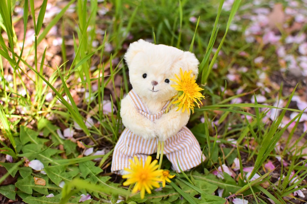 ぬい撮りしよう!春のお出かけ