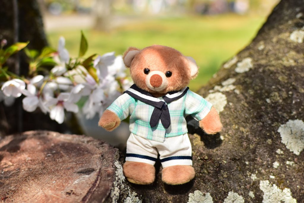 ぬい撮りしよう!春のお出かけ