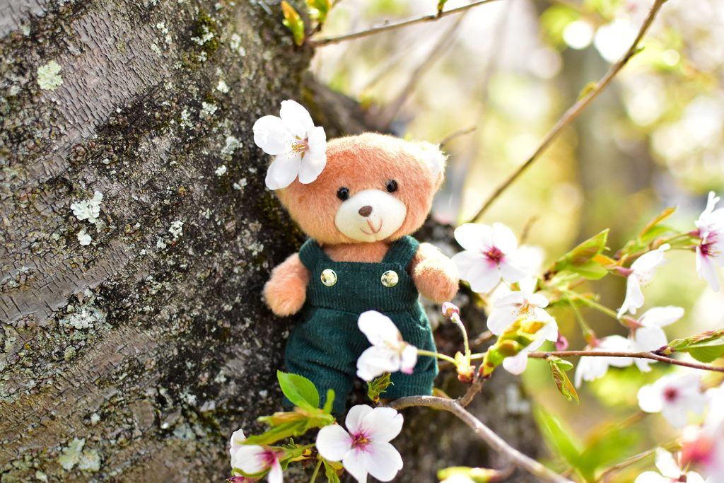 ぬい撮りしよう!春のお出かけ