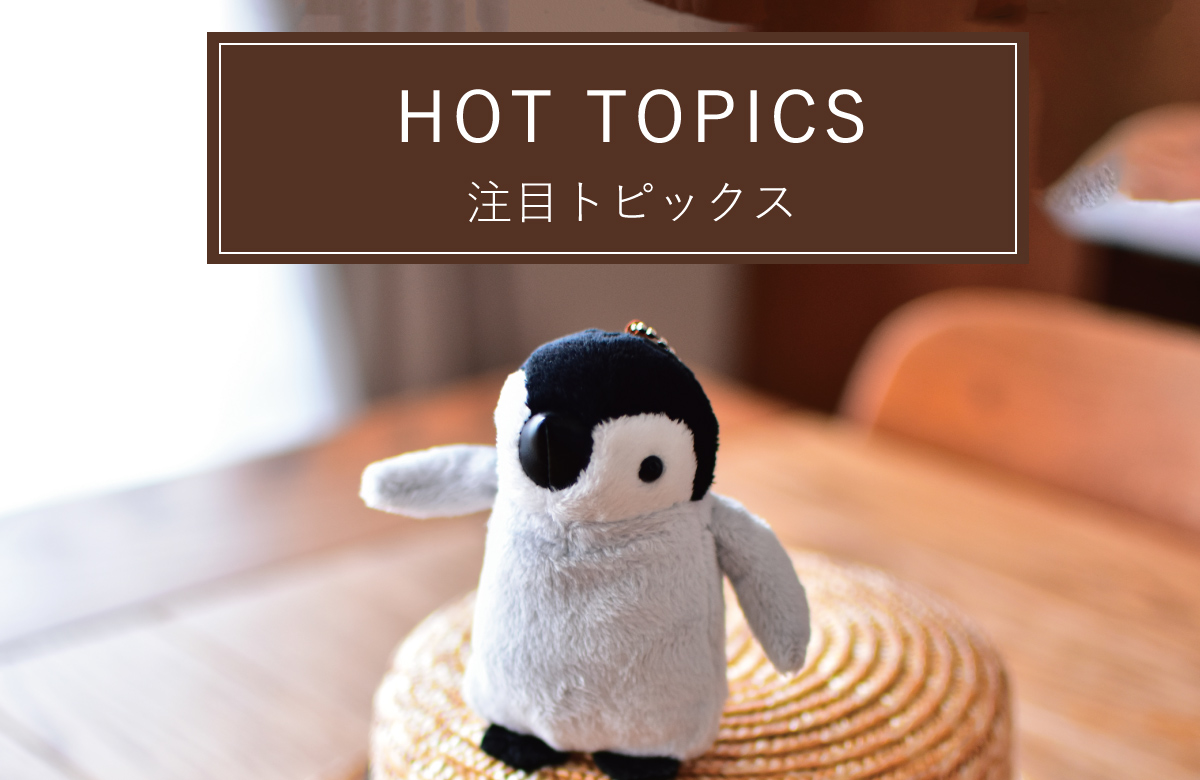 注目トピックス
